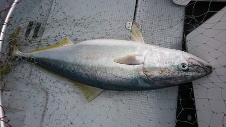 海龍丸（福岡） 釣果