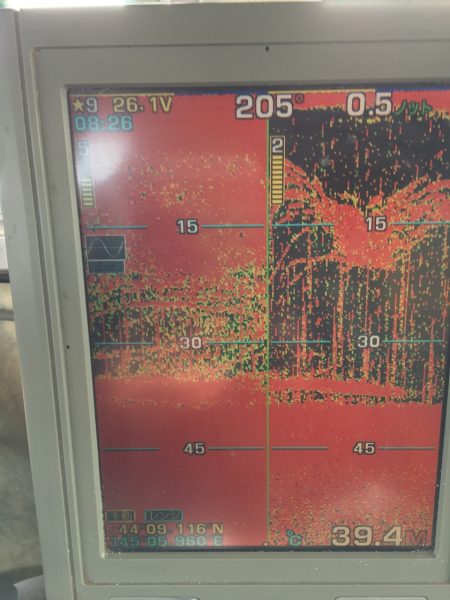 第八平成丸 釣果