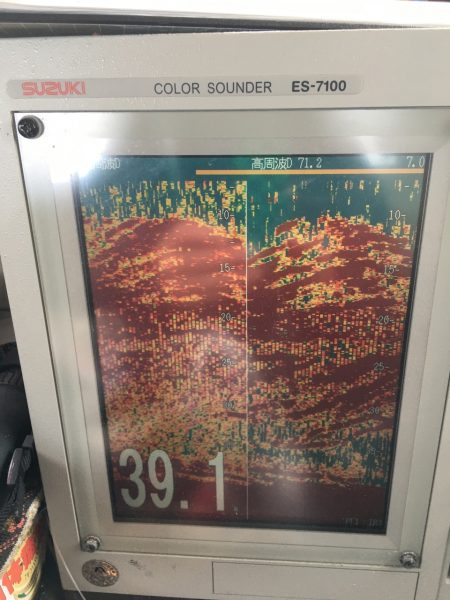 第八平成丸 釣果