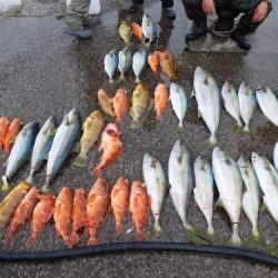 第二一之紀丸(ダイニイチノキマル) 釣果