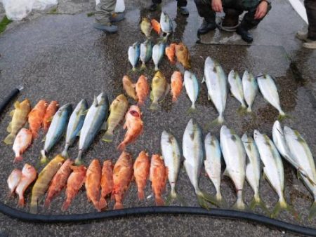 第二一之紀丸(ダイニイチノキマル) 釣果