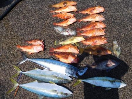 第二一之紀丸(ダイニイチノキマル) 釣果