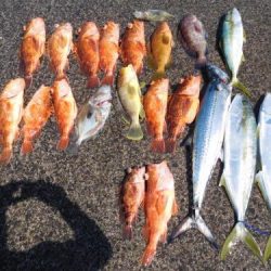 第二一之紀丸(ダイニイチノキマル) 釣果