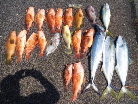 第二一之紀丸（ダイニイチノキマル） 釣果