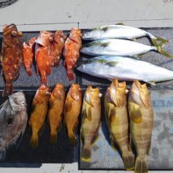 第二一之紀丸(ダイニイチノキマル) 釣果