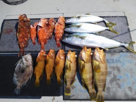 第二一之紀丸(ダイニイチノキマル) 釣果