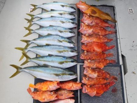 第二一之紀丸(ダイニイチノキマル) 釣果