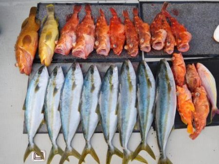 第二一之紀丸(ダイニイチノキマル) 釣果