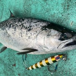 広進丸 釣果