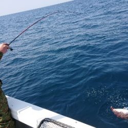 IDATEN(イダテン) 釣果