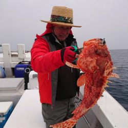 エンペラー 釣果