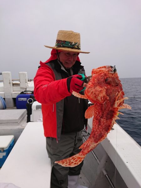 エンペラー 釣果