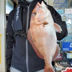 遊漁船 ニライカナイ 釣果