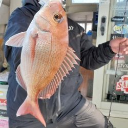 遊漁船 ニライカナイ 釣果