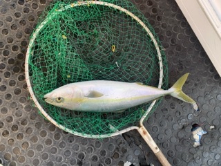 幸吉丸 釣果