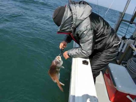 遊漁船 セトマリン 釣果