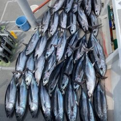 へいみつ丸 釣果