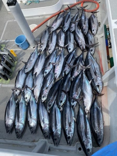 へいみつ丸 釣果