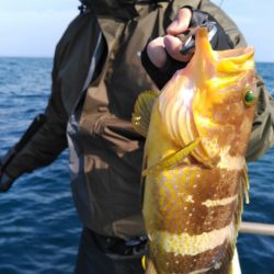 遊漁船 新鋭丸 釣果