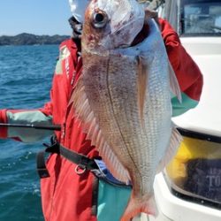 遊漁船 ニライカナイ 釣果