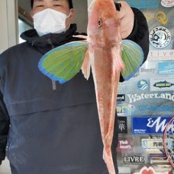 遊漁船 ニライカナイ 釣果