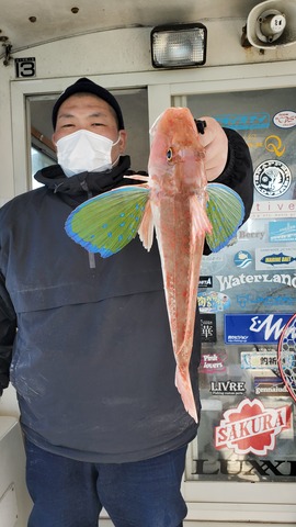 遊漁船 ニライカナイ 釣果