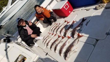 暁〜akatsuki〜 釣果