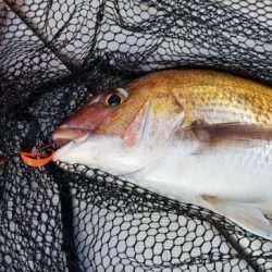 暁〜akatsuki〜 釣果