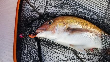 暁〜akatsuki〜 釣果