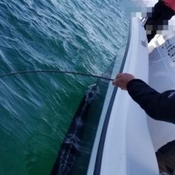 暁〜akatsuki〜 釣果