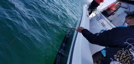 暁〜akatsuki〜 釣果