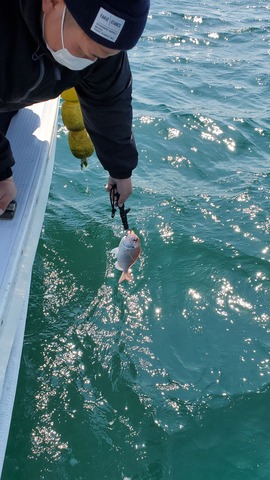 遊漁船 ニライカナイ 釣果