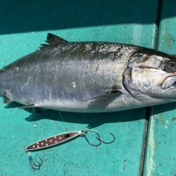 広進丸 釣果