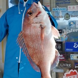 遊漁船 ニライカナイ 釣果