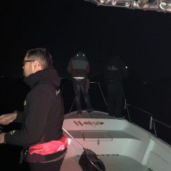 Magic（マジック） 釣果