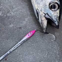 へいみつ丸 釣果