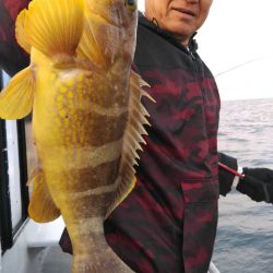 遊漁船 新鋭丸 釣果