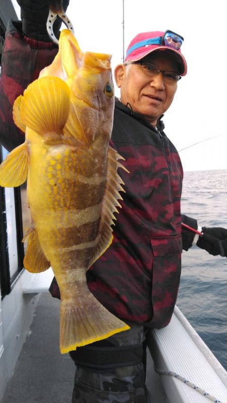 遊漁船 新鋭丸 釣果