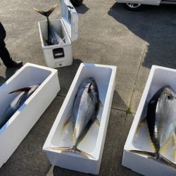 へいみつ丸 釣果