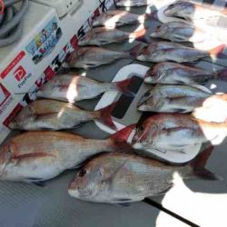 遊漁船 セトマリン 釣果