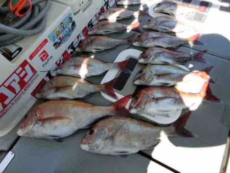 遊漁船 セトマリン 釣果