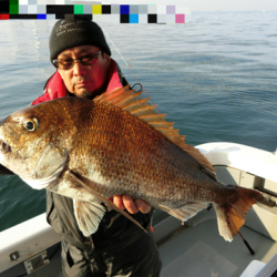 遊漁船 セトマリン 釣果