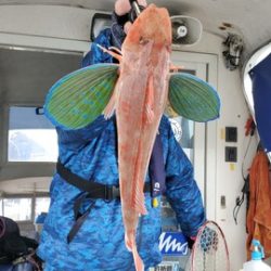 遊漁船 ニライカナイ 釣果