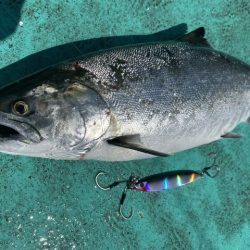 広進丸 釣果
