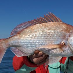 遊漁船 ニライカナイ 釣果