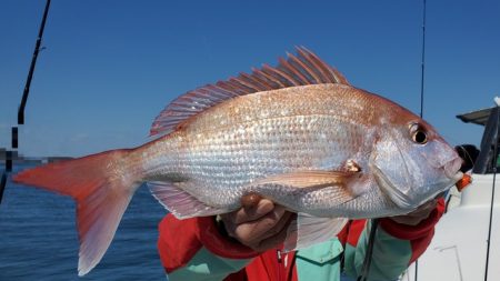 遊漁船 ニライカナイ 釣果