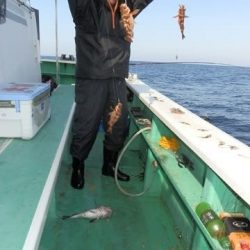 第二むつ漁丸 釣果