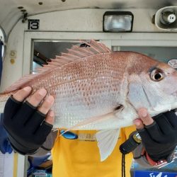 遊漁船 ニライカナイ 釣果