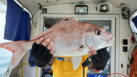 遊漁船 ニライカナイ 釣果