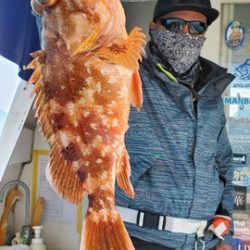 遊漁船 ニライカナイ 釣果